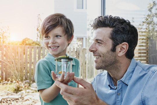 Father and son catching together a cricket