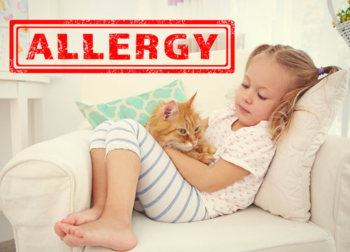 Animal Allergy Concept. Little Girl With Cat At Home