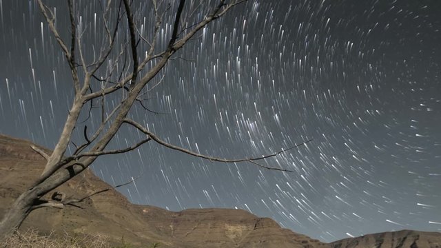 Night sky timelapse of stars and milky way with silhouette trees in the foreground