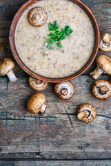 Obraz na płótnie Canvas peasant soup with champignon