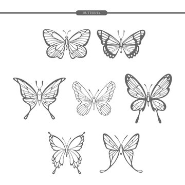 Set black butterflies isolate on white background. Hand drawing. Vector illustration.