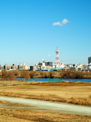 Obraz premium 冬枯れの河川敷風景