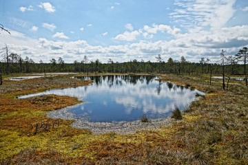 HDR image from the big lake of the Viru Raba bog in Estonia