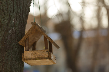 feeding trough for birds on a tree wooden feeder