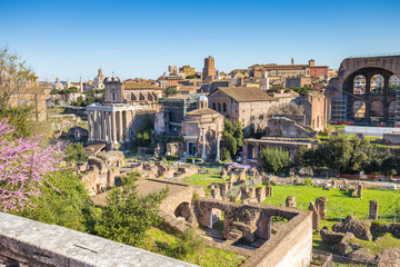 Obraz na płótnie Canvas The Roman Forum landmark of Rome in Italy.