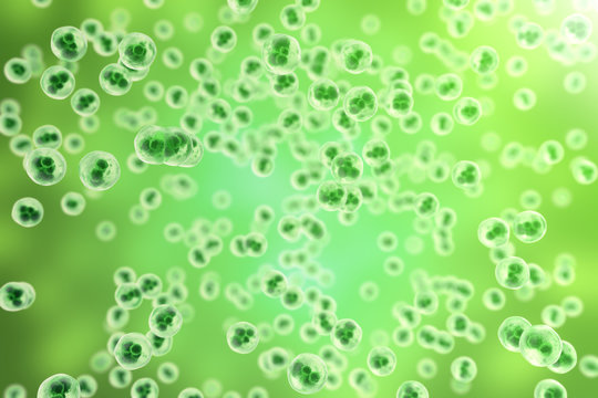 Human cells or animal on green background. Life and biology, medicine scientific concept with focus effect. 3d rendering