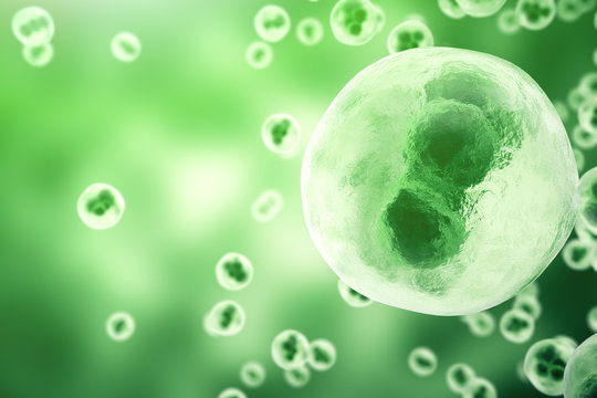 Human cells or animal on green background. Life and biology, medicine scientific concept with focus effect. 3d rendering