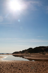 Beach landscape with the sun facing