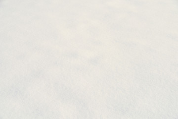 Fresh White Snow Texture