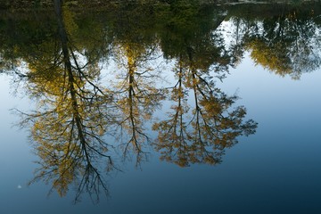 reflection in water