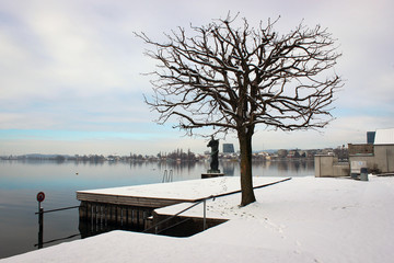 Lake Zug splendid view, Switzerland