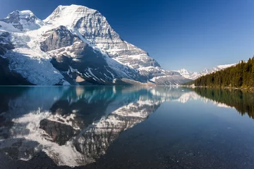 Foto op Plexiglas anti-reflex Denali Panoramisch uitzicht op de berg Mt Robson met gletsjer en meer overdag met geweldige zomerkleuren bij daglicht en blauwe lucht, geen wolken en spiegelreflectie in het water, Canadese Rockies in Canada.