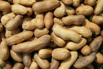 A lot of peanuts on the grass.