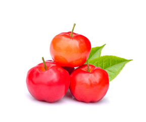 Barbados cherry, Malpighia emarginata, Family Malpighiaceae