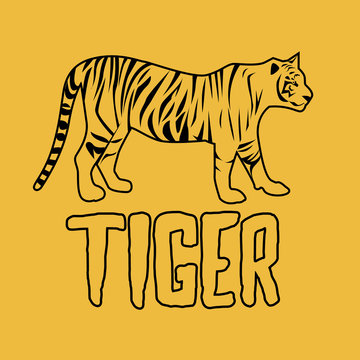 Tiger logo design for use, vector illustration.