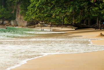 Tranquil tropical beach with jungle