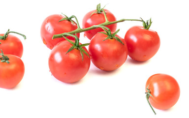 Fresh cherry tomatoes isolated on white background.