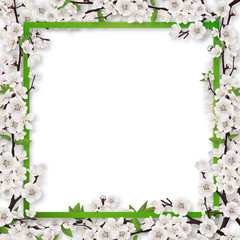 Square frame overgrown blossom tree branch apple or cherry. Vector template for spring greeting card.