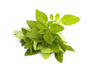 oregano on a white background
