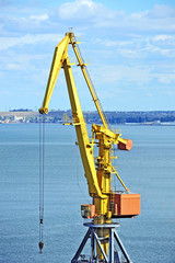 Port cargo crane