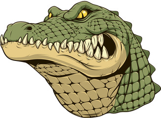 Fototapeta premium Okrutna głowa aligatora