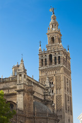 Fototapeta na wymiar Giralda of Seville, Andalusia, Spain