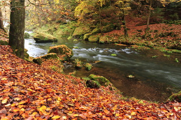 Autumn colors river