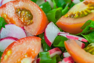 view of fresh ingridients for green salad
