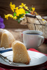 Traditional easter cake.
