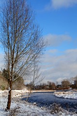 Obraz na płótnie Canvas Natur im Winter.