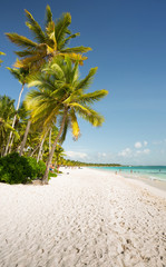 Naklejka na ściany i meble Saona Island Tropical Beach in Punta Cana, Dominican Republic