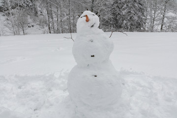Obraz premium Schneemann