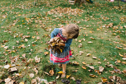 Young girl collecting autumnal leaves in garden 