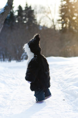 Girl walking in a winter park - 133803876