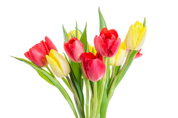 Bunter Blumenstrauß (Tulpen) freigestellt