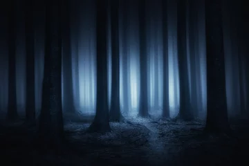Wandaufkleber dunkler und unheimlicher Wald in der Nacht © mimadeo