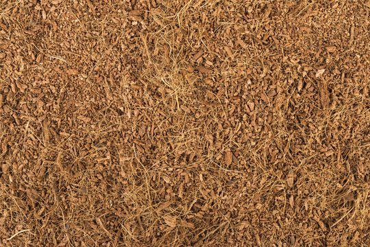 Dry Coconut Coir. Macro Shot.