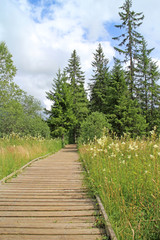 Etang de la Gruère (Schweiz, Jura)