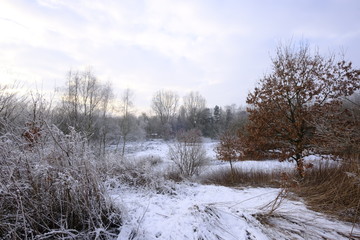 Naturschutzgebiet Obere Ihleniederung