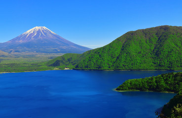 Obraz premium 【山梨県】本栖湖から富士山(富士五湖)
