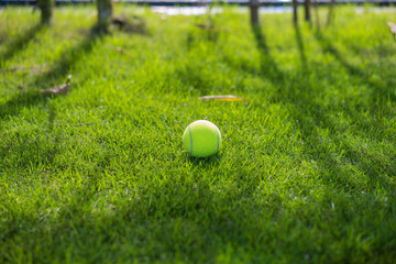 Tennis ball on wet grass after raining
