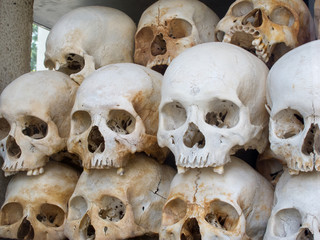 Skulls of the Killing Fields