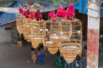 Bird cages for sale in Hanoi