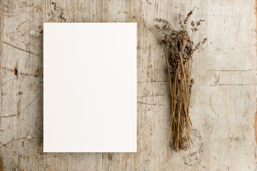 Blank greetings card © photographyfirm