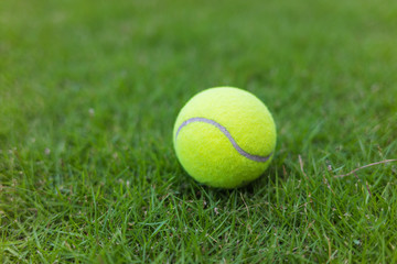 Tennis ball on green leaf background