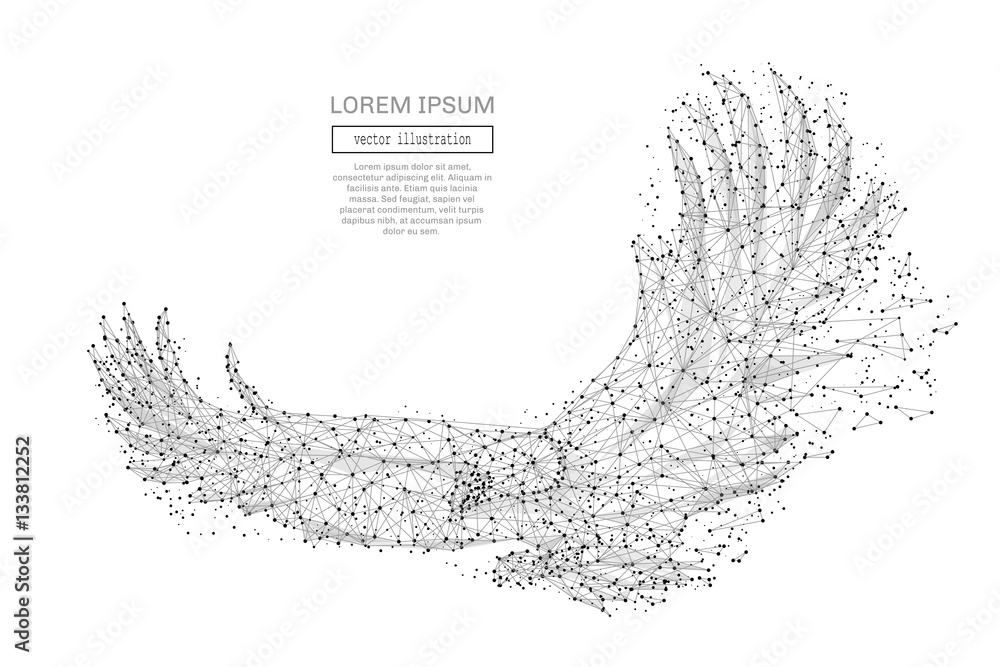 Poster Grey eagle with polygon line on abstract background. Polygonal space low poly with connecting dots and lines. Connection structure. Vector science background.