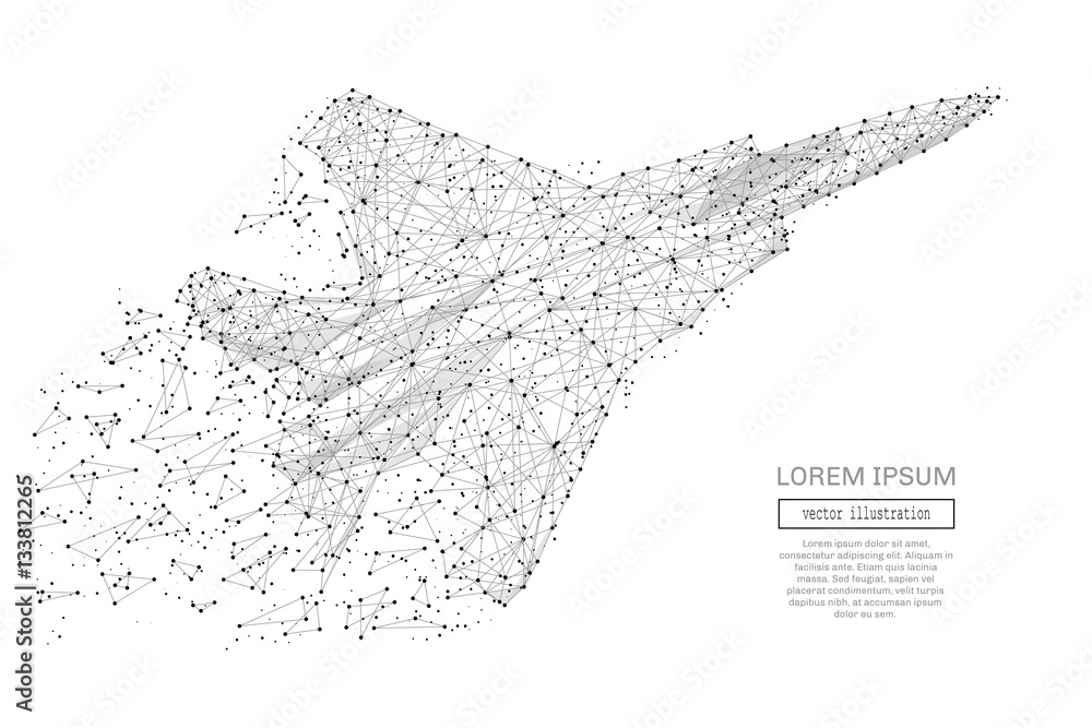 Aufkleber Grey fighter jet with polygon line on abstract background. Polygonal space low poly with connecting dots and lines. Connection structure. Vector background.