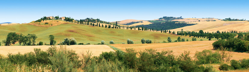 Paysage  des environs de  Sienne en Toscane
