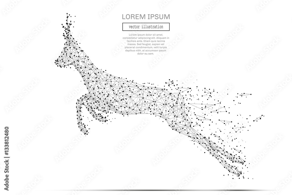 Aufkleber Grey run roe with polygon line on abstract background. Polygonal space low poly with connecting dots and lines. Connection structure. Vector science background.