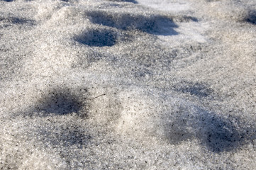 Snow with ice like a glass and crystal in early spring